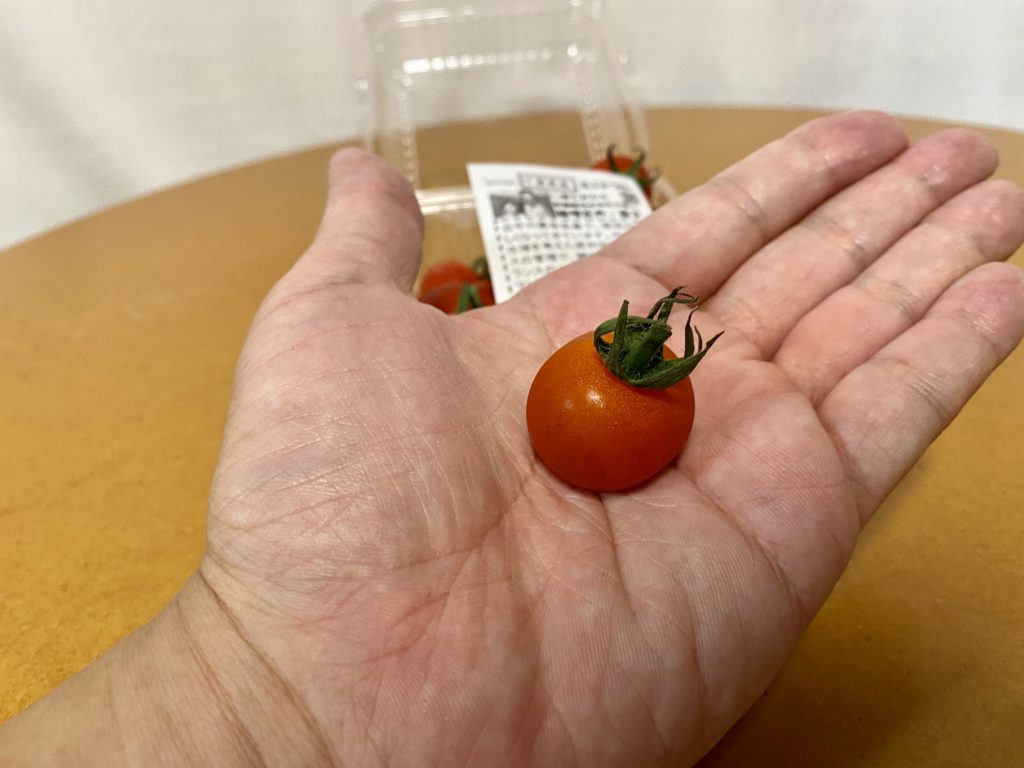 らでぃっしゅぼーや　ミニトマト　大きさ